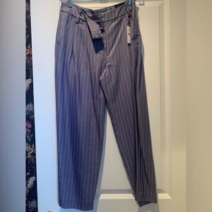 Express Striped Trousers, Never Worn, Size 4R